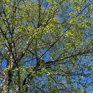 Meet your Posher, Sneha